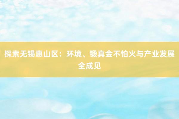 探索无锡惠山区：环境、锻真金不怕火与产业发展全成见